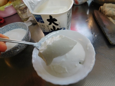 DSCN0212 (400x300).jpg