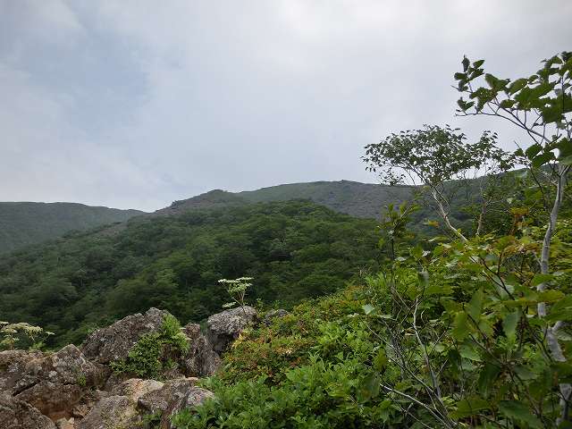 CIMG9617.jpg