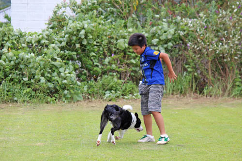 run-3