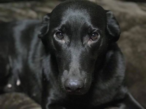 rblog-20180222140510-02.jpg