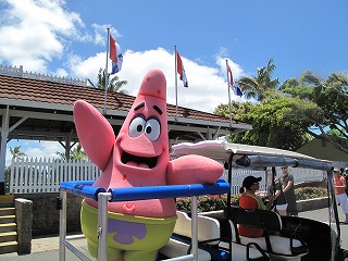 IMG_5362.jpg
