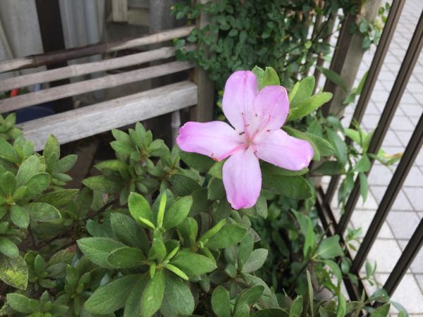 rblog-20180911111648-01.jpg