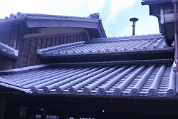 DSC_2119.jpg