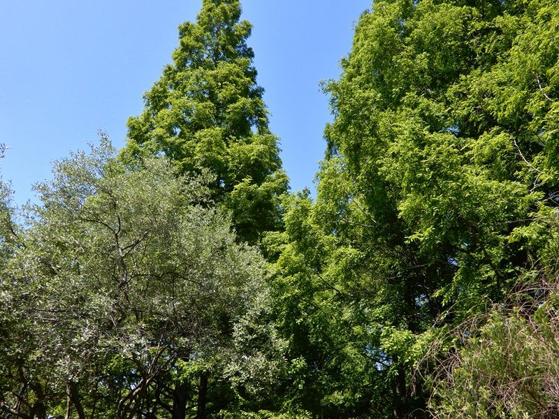 スロープ2