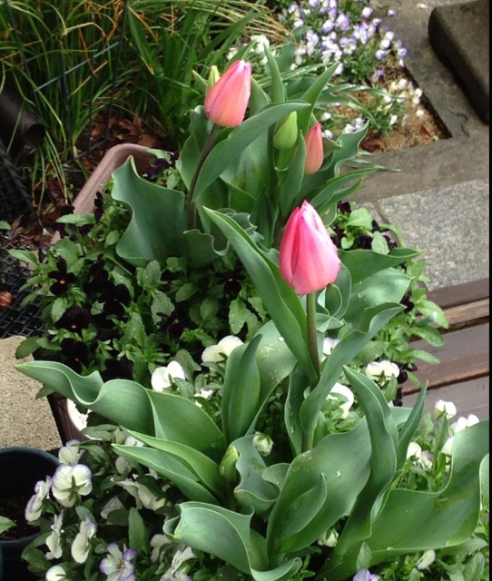 rblog-20130407234251-02.jpg
