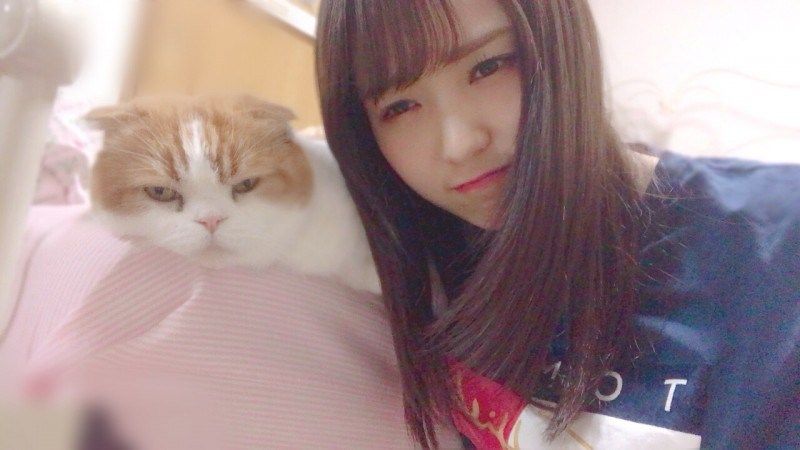 欅坂46 菅井友香 似ていると言われる愛猫トムと2ショット ルゼルの情報日記 楽天ブログ