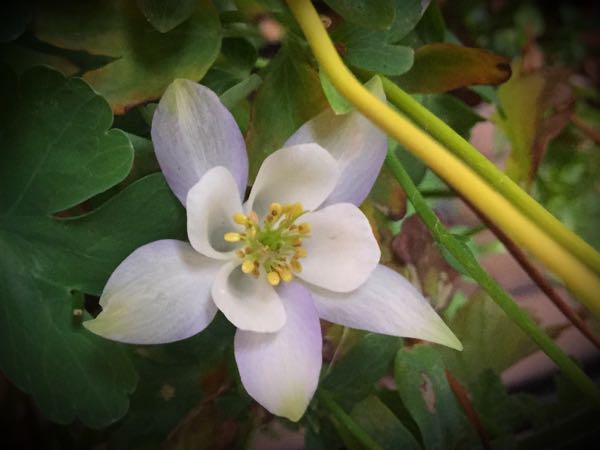 rblog-20160530192740-01.jpg