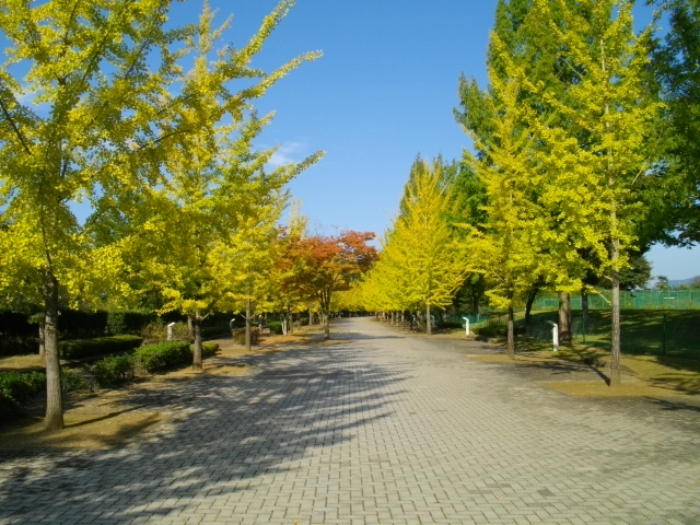 黒目川と秩父アミューズメント＆和銅 143.JPG