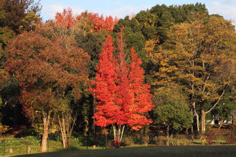 北千里_007北千里公園.jpg