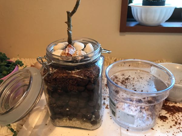 rblog-20170326204947-02.jpg