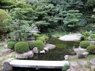 DSCF2152.JPG