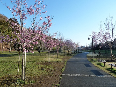 2013.3.26 007.JPG