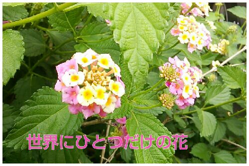 rblog-20160620203413-00.jpg