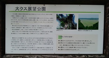 DSC_0201.JPG
