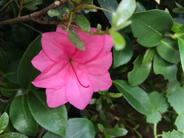 rblog-20180628172024-04.jpg