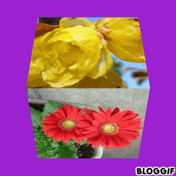 bloggif_569089f6a9baf350ピクセル.gif