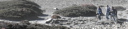 r-2022.jpg