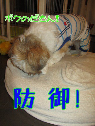 IMG_1809-m-m.jpg
