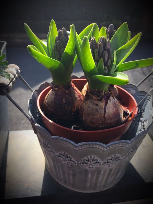 rblog-20160225161017-01.jpg