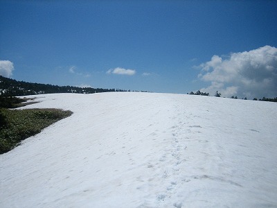2000m　坪場に出る
