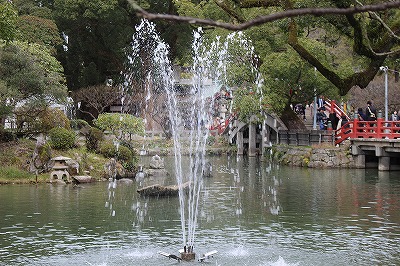 IMG_2598.jpg