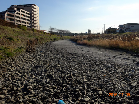 横川橋上流.jpg