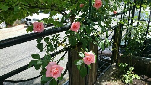 rblog-20170523184645-00.jpg