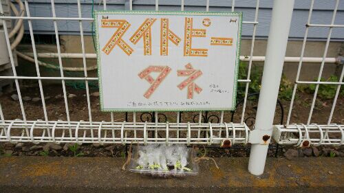 rblog-20151208114605-02.jpg