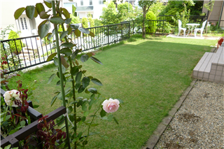 P1040247.png