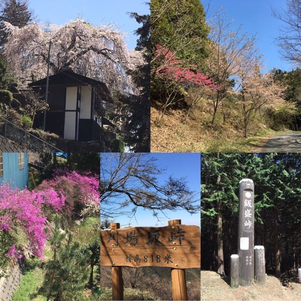 rblog-20180331041945-02.jpg