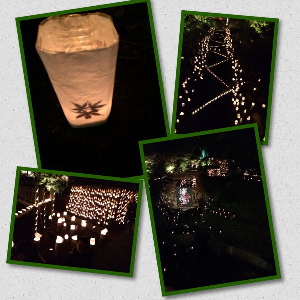 rblog-20141118215904-00.jpg