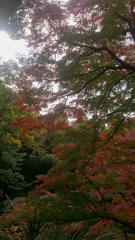 DSC_1557.jpg