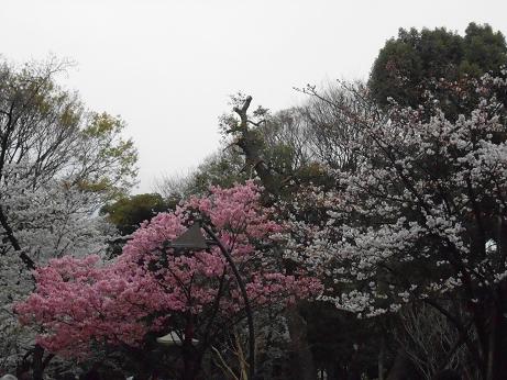 DSCN2425.jpg