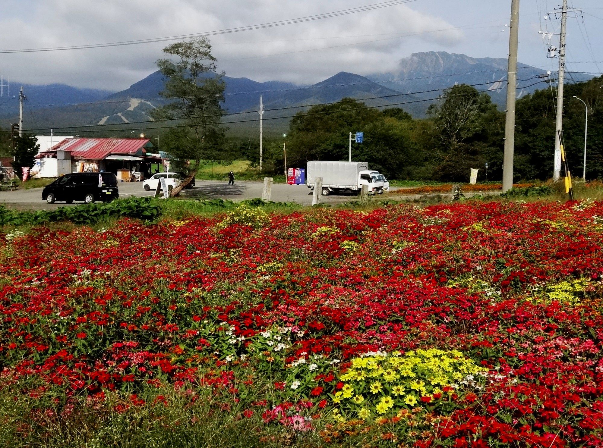 鉄道最高地点のあるｊｒ野辺山駅 山と星空と小型車でサイクリング 楽天ブログ