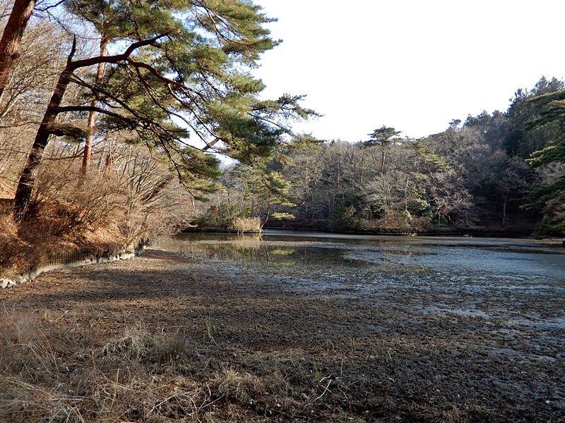 長谷池2