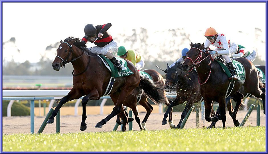 2ページ目の 競馬 G愛あきおやじの部屋 楽天ブログ