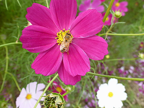 P1250061.jpg