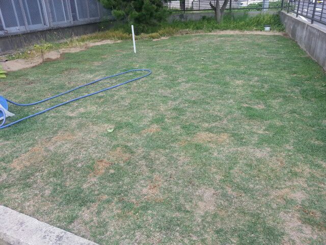 rblog-20140608195410-01.jpg