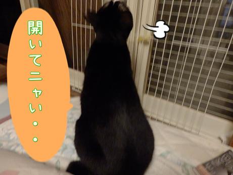 開いてない.JPG