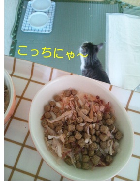20120904_3.jpg