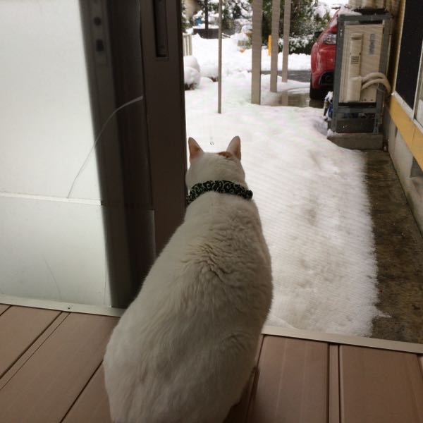 rblog-20141207082551-01.jpg