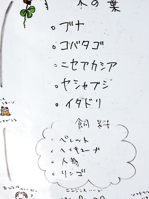 カモシカ園1.JPG