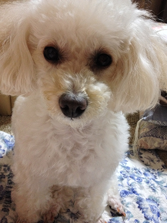 20140602_01.jpg