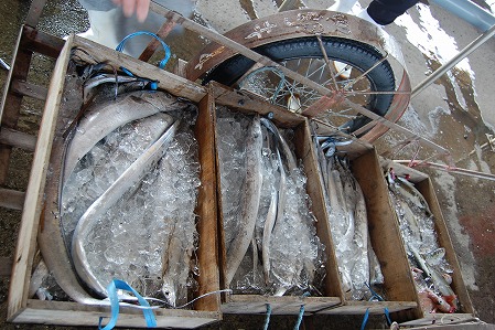 s-DSC_0375.jpg
