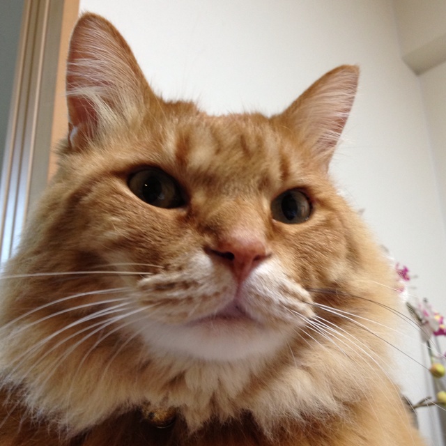 rblog-20130315213421-03.jpg