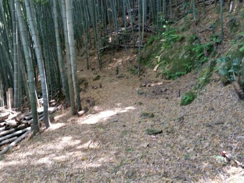 rblog-20160504205645-05.jpg