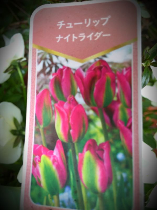 rblog-20160331165718-05.jpg