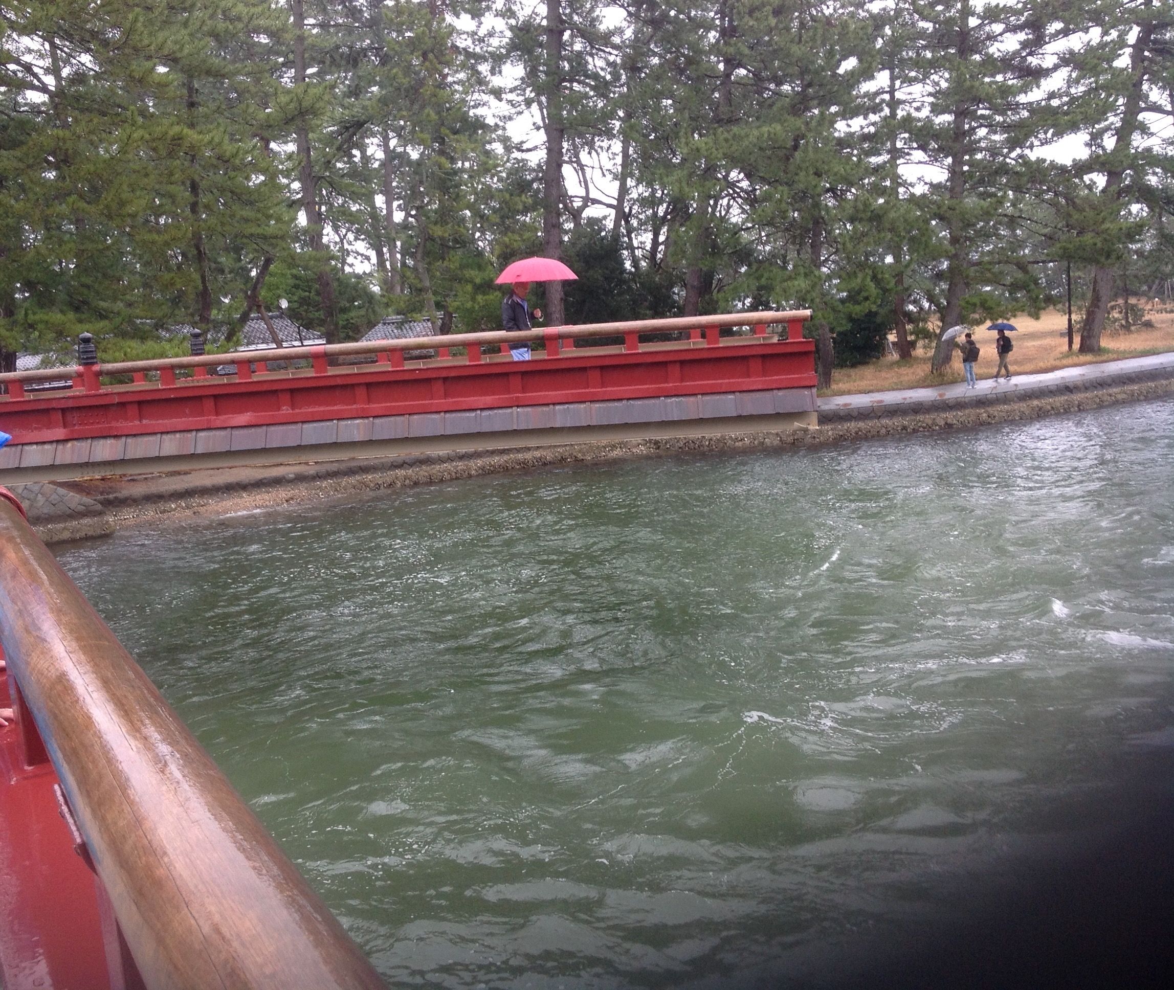 5歳 京都旅行2日目 雨の天橋立 ０歳からののびのび幼児教育 楽しみながらほめて伸ばす 楽天ブログ