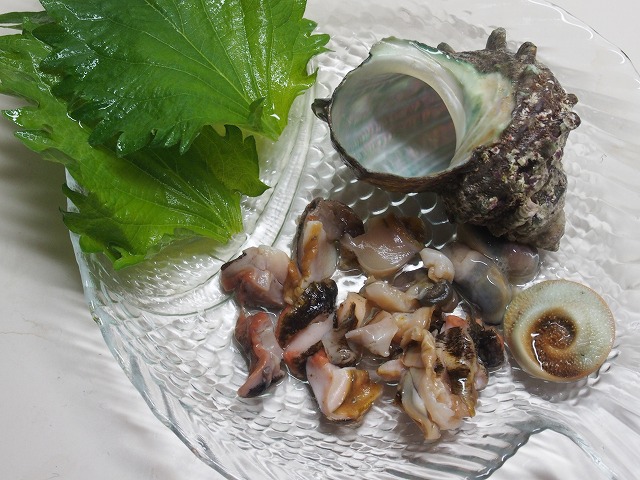 P7030006.jpg