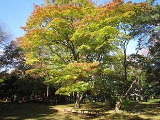 千古園１.jpg